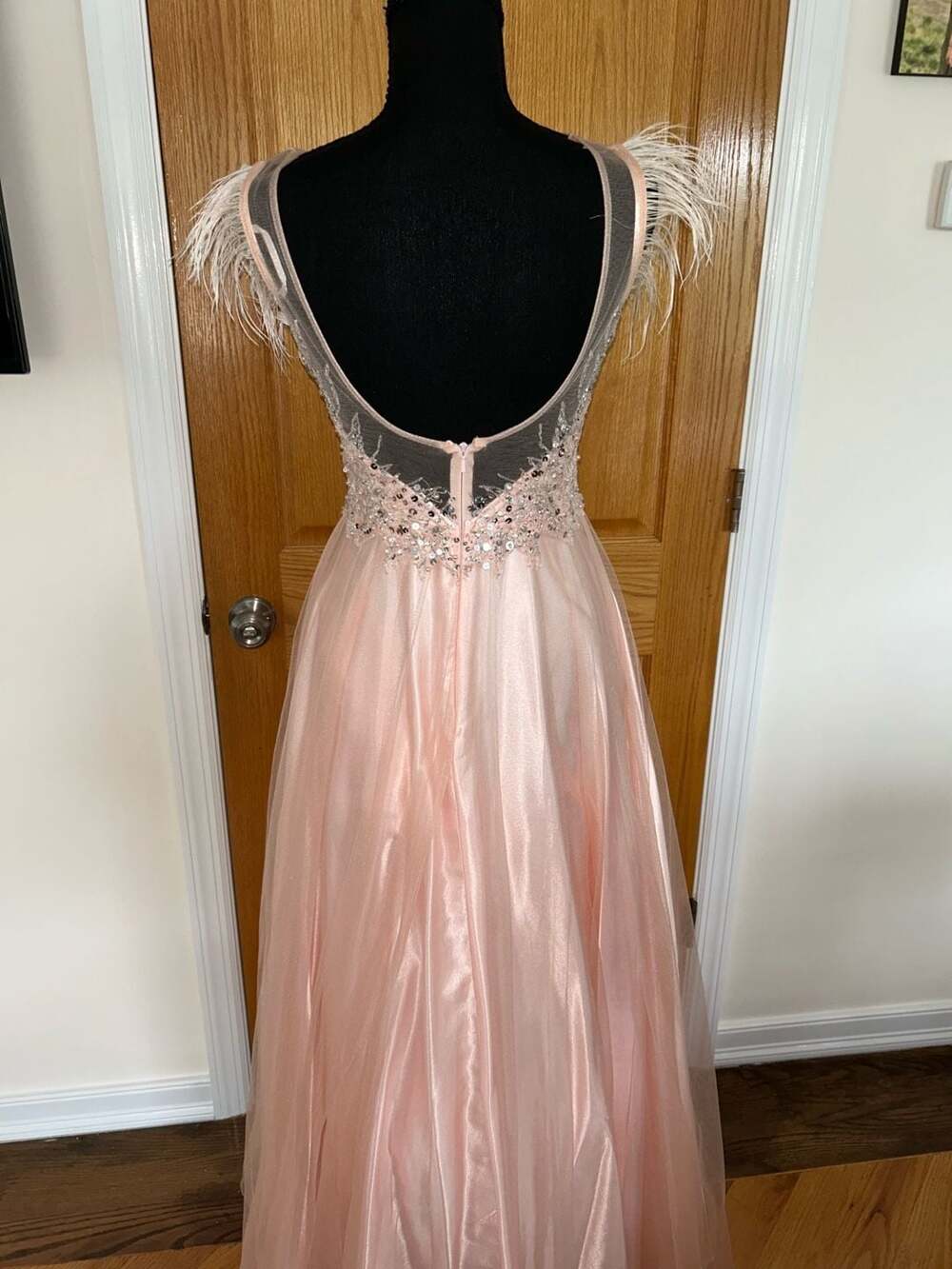 Blush Pink Tulle Formal Prom Dress with Feather Sleeves and Sequined Bodice - Picture 3 of 4